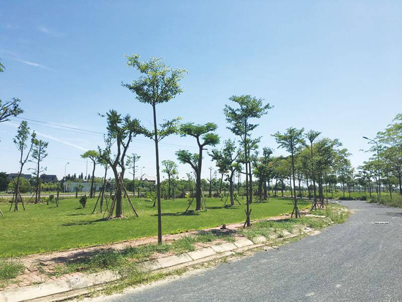 Tiến độ dự án Cienco 5 Mê Linh