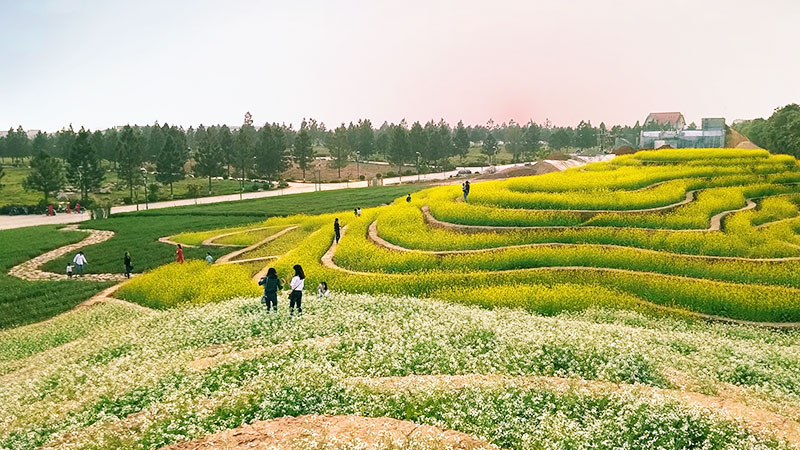 Quy hoạch nông thôn